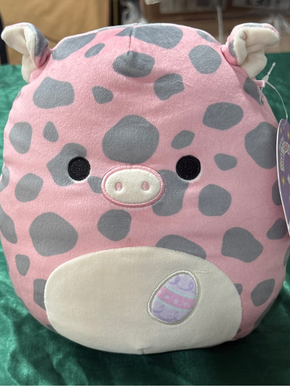 Squismallows Aquitaine the Pig- Eastern Edition Plush